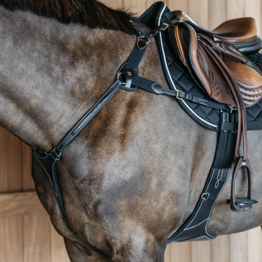 Pettorale a 5 punti con elastici D Collection Dy'on Nero