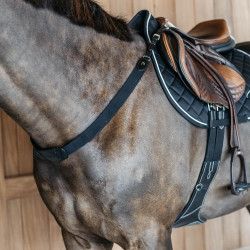 Pettorale elastico New English Collection Dy'on Nero