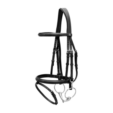 Briglia Capezzina Combinata con Montanti a Moschettoni Working by Dy'on Nero