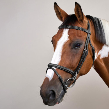 Briglia Capezzina Combinata con Montanti a Moschettoni Working by Dy'on Nero