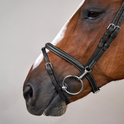 Briglia Capezzina Combinata con Montanti a Moschettoni Working by Dy'on Nero