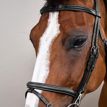 Briglia Capezzina Combinata con Montanti a Moschettoni Working by Dy'on Nero