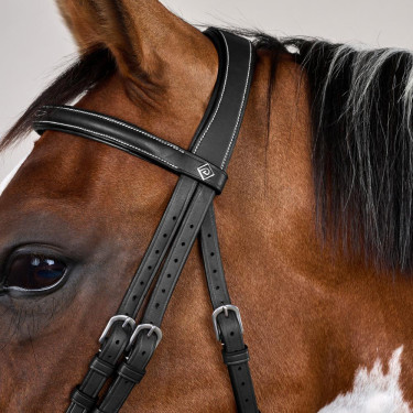 Briglia Capezzina Combinata con Montanti a Moschettoni Working by Dy'on Nero