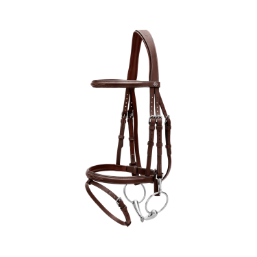 Briglia Capezzina Combinata con Montanti a Moschettoni Working by Dy'on Marrone