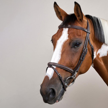 Briglia Capezzina Combinata con Montanti a Moschettoni Working by Dy'on Marrone