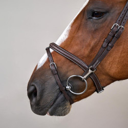 Briglia Capezzina Combinata con Montanti a Moschettoni Working by Dy'on Marrone