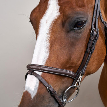 Briglia Capezzina Combinata con Montanti a Moschettoni Working by Dy'on Marrone