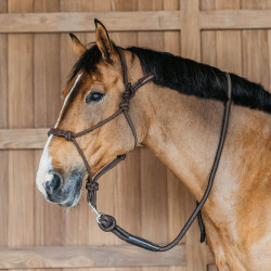 Capestro etologico Dy'on Marrone