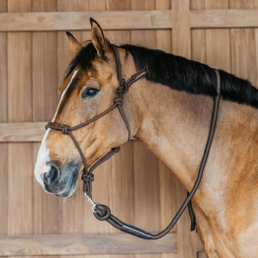 Capestro etologico Dy'on Marrone
