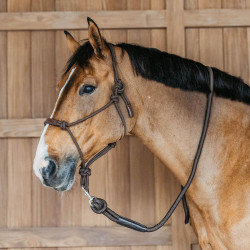 Lunga Dy'on con moschettone Marrone