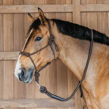 Lunga Dy'on con moschettone Marrone