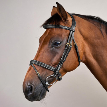 Briglia Dy'on collezione D capezzina combinata intrecciata Nero