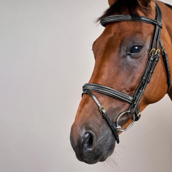 Briglia Dy'on collezione D capezzina combinata intrecciata Nero