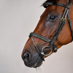 Briglia Dy'on collezione D capezzina combinata intrecciata Nero