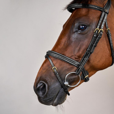 Briglia Dy'on collezione D capezzina combinata intrecciata Nero