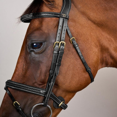 Briglia Dy'on collezione D capezzina combinata intrecciata Nero