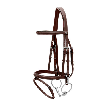 Briglia Working by Dy'on con capezzina combinata e moschettoni Marrone