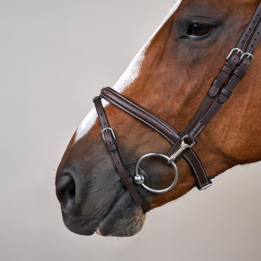 Briglia Working by Dy'on con capezzina combinata e moschettoni Marrone