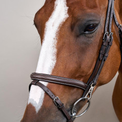 Briglia Working by Dy'on con capezzina combinata e moschettoni Marrone