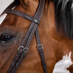 Briglia Working by Dy'on con capezzina combinata e moschettoni Marrone