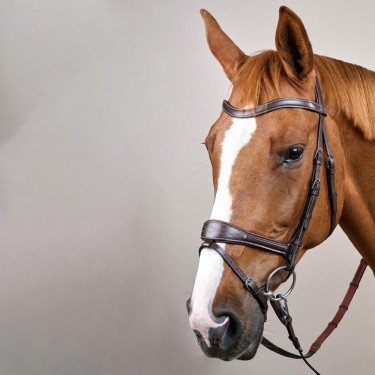 Briglia Working by Dy'on con libertà di movimento Marrone