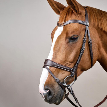 Briglia Working by Dy'on con libertà di movimento Marrone