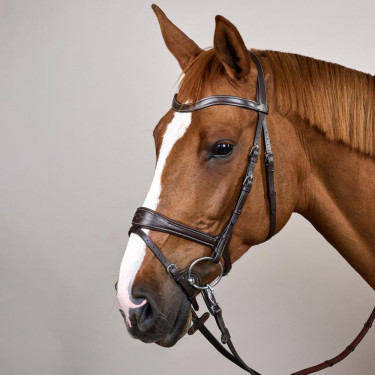 Briglia Working by Dy'on con libertà di movimento Marrone