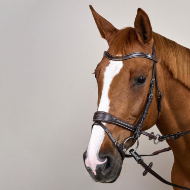 Briglia Working by Dy'on con libertà di movimento Marrone