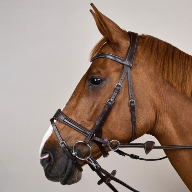 Briglia Working by Dy'on con libertà di movimento Marrone