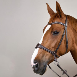 Briglia Working by Dy'on con libertà di movimento Marrone