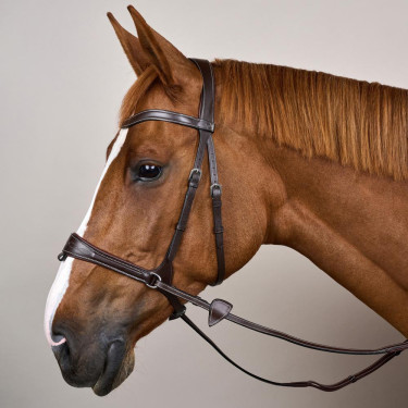 Briglia Working by Dy'on con libertà di movimento Marrone