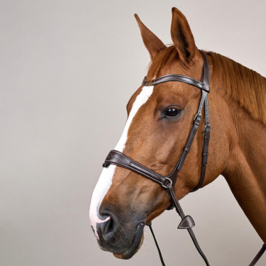 Briglia Working by Dy'on con libertà di movimento Marrone
