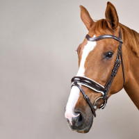 Briglia Working by Dy'on Capezzina Combinata Larga Lucida Fodera Bianca Nero