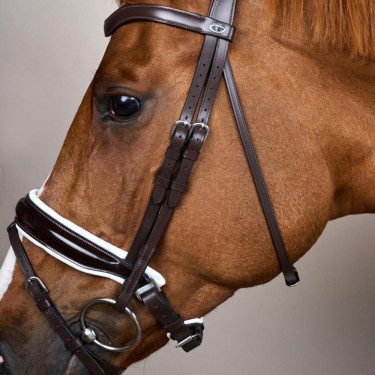 Briglia Working by Dy'on Capezzina Combinata Larga Lucida Fodera Bianca Marrone