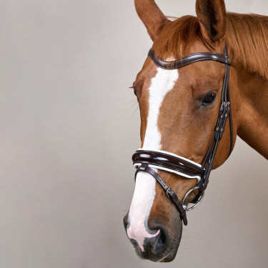 Briglia Working by Dy'on Capezzina Combinata Larga Lucida Fodera Bianca Marrone