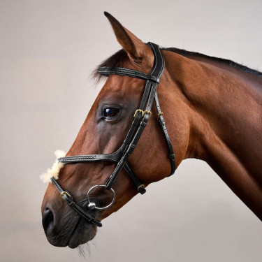 Briglia Capezzina Incrociata Intrecciata Collezione D Dy'on Nero Briglia Capezzina Incrociata Intrecciata Collezione D Dy'on Nero