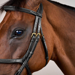 Briglia Capezzina Incrociata Intrecciata Collezione D Dy'on Nero Briglia Capezzina Incrociata Intrecciata Collezione D Dy'on Nero