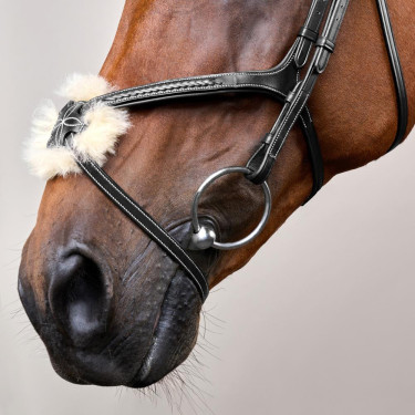 Briglia Capezzina Incrociata Intrecciata Collezione D Dy'on Nero Briglia Capezzina Incrociata Intrecciata Collezione D Dy'on Nero