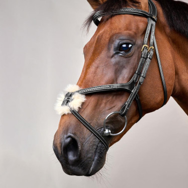 Briglia Capezzina Incrociata Intrecciata Collezione D Dy'on Nero Briglia Capezzina Incrociata Intrecciata Collezione D Dy'on Nero