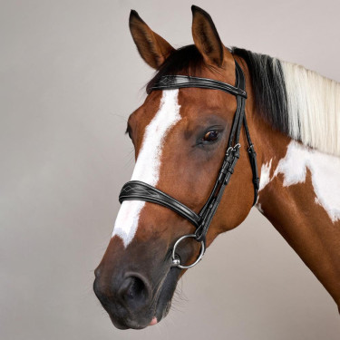 Museruola Anatomica senza Sottogola Collezione US Jumping Dy'on Nero