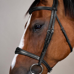 Museruola Anatomica senza Sottogola Collezione US Jumping Dy'on Nero