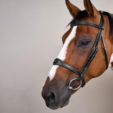 Museruola Anatomica senza Sottogola Collezione US Jumping Dy'on Nero