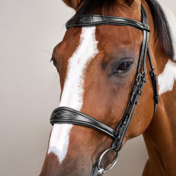 Museruola Anatomica senza Sottogola Collezione US Jumping Dy'on Nero