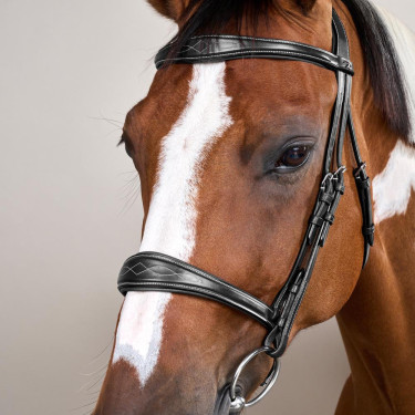 Museruola Anatomica senza Sottogola Collezione US Jumping Dy'on Nero