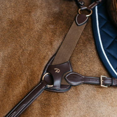 Protezione pettorale 5 punti elastica Dy'on Marrone