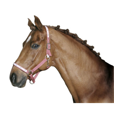 Elastici per trecciare Covalliero Elastici per trecciare Covalliero