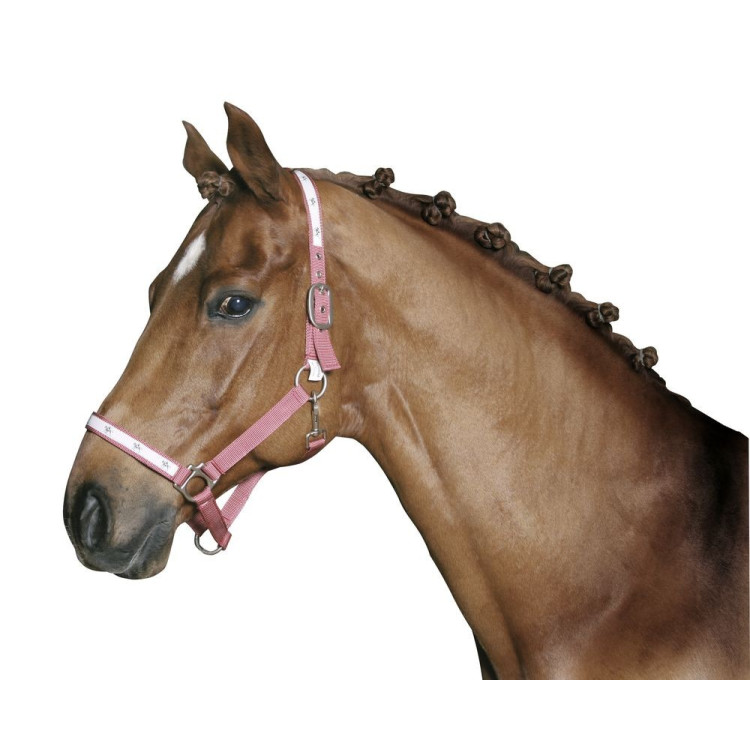 Elastici per trecciare Covalliero