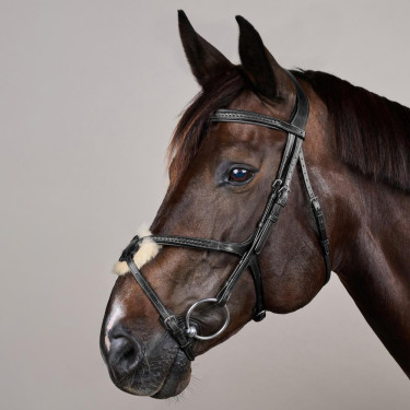 Briglia Capezzina Incrociata Intrecciata New English Collection Dy'on Nero