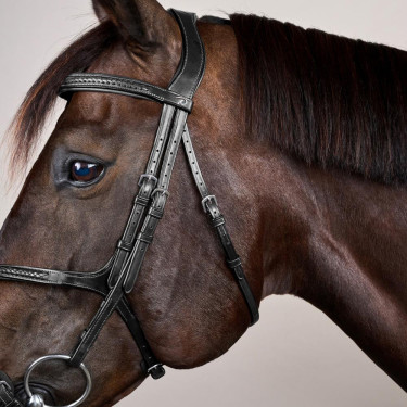 Briglia Capezzina Incrociata Intrecciata New English Collection Dy'on Nero