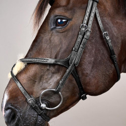 Briglia Capezzina Incrociata Intrecciata New English Collection Dy'on Nero